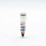 Anti-HA CoIP 磁珠
