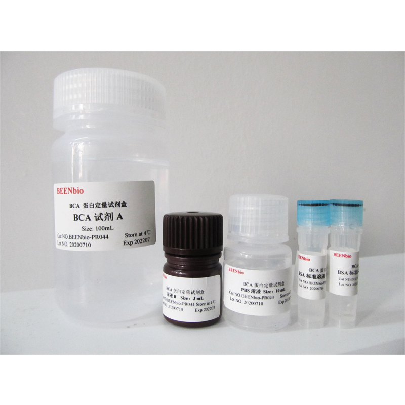 BCA蛋白定量试剂盒