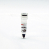 Anti-c-Myc CoIP 磁珠