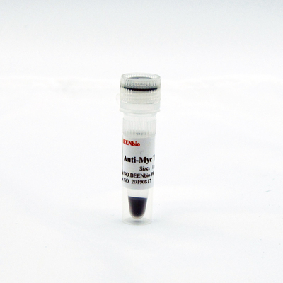 Anti-c-Myc CoIP 磁珠